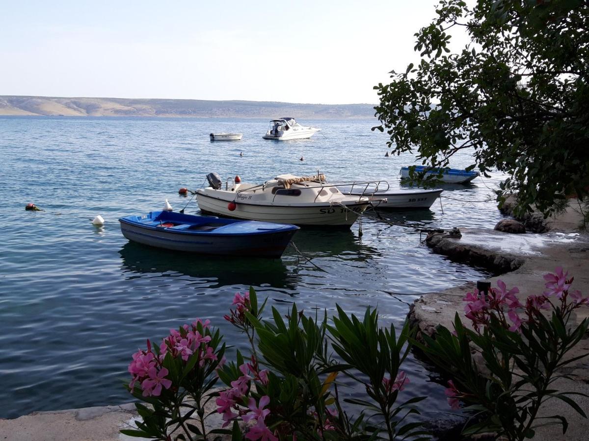 Old Town Paklenica Daire Starigrad Paklenica Dış mekan fotoğraf